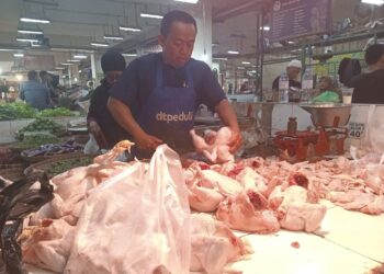 Hari Ini, Harga Daging Ayam di Pasar Sukabumi Rp 40 Ribu Per Kg dan Telur Ayam Rp 27 Ribu Per Kg