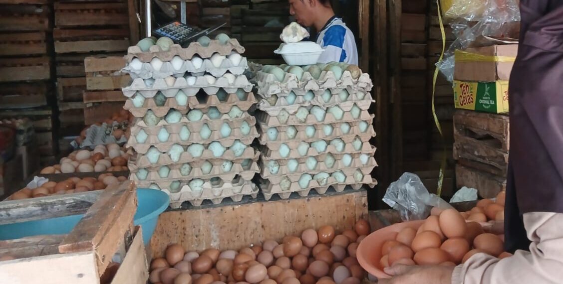 Hari Ini, Harga Telur Ayam dan Kacang Kedelai di Sukabumi Naik