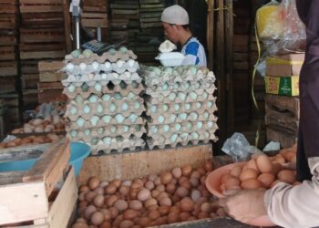 Hari Ini, Harga Telur Ayam dan Kacang Kedelai di Sukabumi Naik