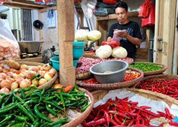 Cabai dan Sayuran Kompak Naik, Harga Beras di Sukabumi Justru Turun